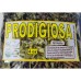 Prodigious Immortelle Herb Tea, Prodigiosa