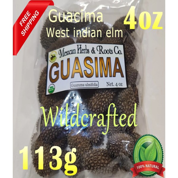 Guazima, guácima guacima, Guazuma, guasima, ulmifolia